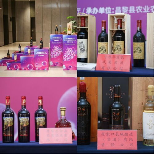 河北葡萄酒首次集体亮相第110届成都糖酒商品交易会